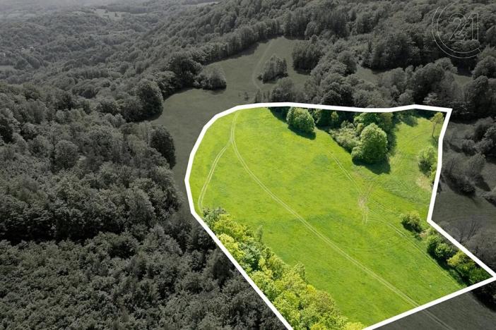 Prodej louky, Děčín, 22595 m2