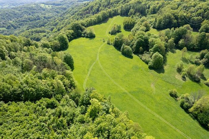 Prodej louky, Děčín, 22595 m2