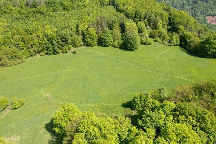 Prodej louky, Děčín, 22595 m2