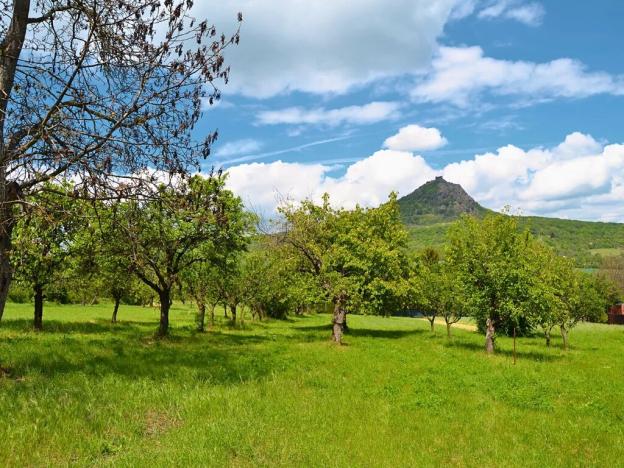 Prodej pozemku pro bydlení, Třebenice, 5844 m2