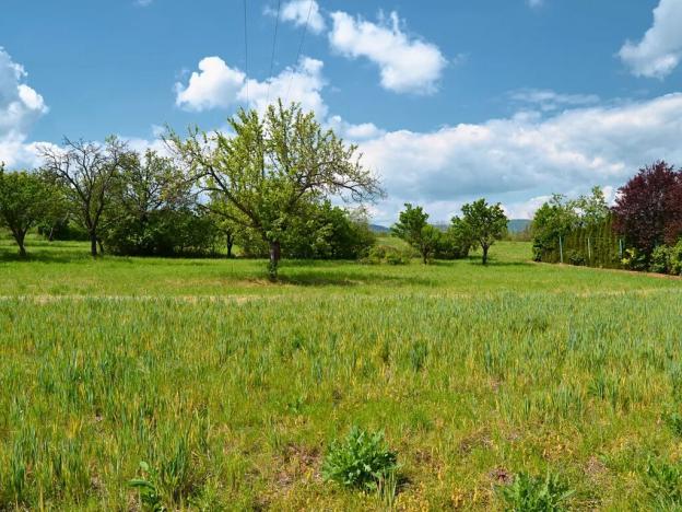 Prodej pozemku pro bydlení, Třebenice, 5844 m2