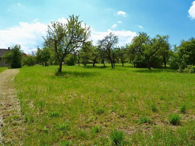 Prodej pozemku pro bydlení, Třebenice, 5844 m2