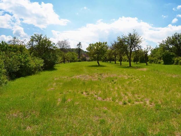 Prodej pozemku pro bydlení, Třebenice, 5844 m2