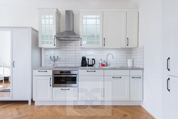 Pronájem bytu 1+kk, Praha - Malá Strana, Cihelná, 47 m2