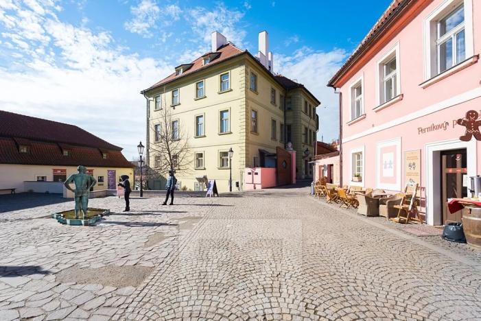 Pronájem bytu 1+kk, Praha - Malá Strana, Cihelná, 47 m2