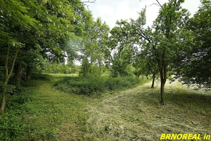 Prodej zahrady, Rousínov, 940 m2