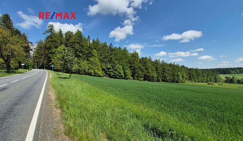 Prodej pozemku pro bydlení, Borová, 7429 m2