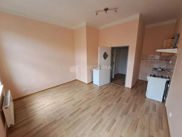 Pronájem bytu 1+kk, Praha - Žižkov, Vlkova, 28 m2