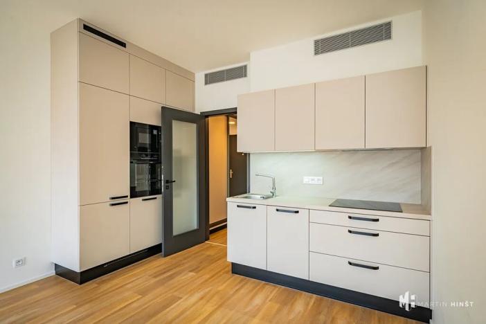 Pronájem bytu 1+kk, Praha - Žižkov, Tetauerova, 31 m2