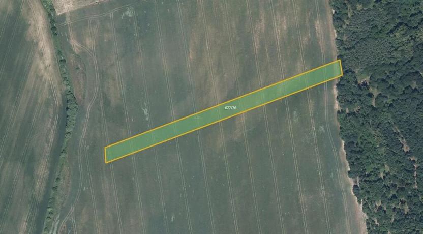 Prodej podílu pole, Džbánice, 6560 m2
