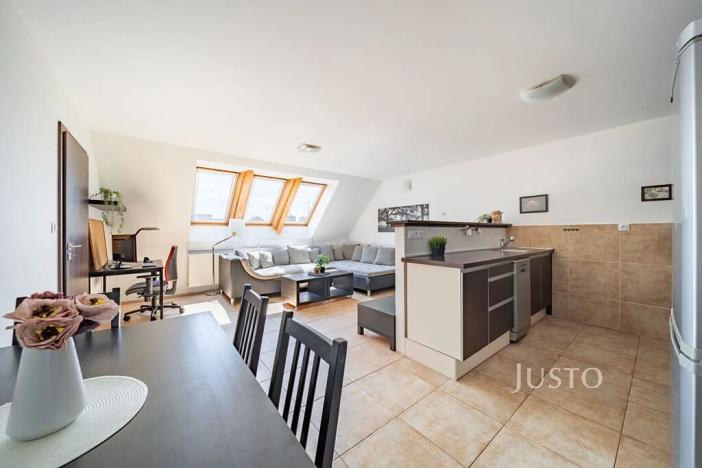 Prodej bytu 3+kk, České Budějovice, Rudolfovská tř., 66 m2