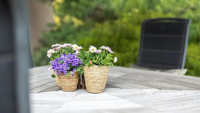 Prodej rodinného domu, Moravany, 271 m2