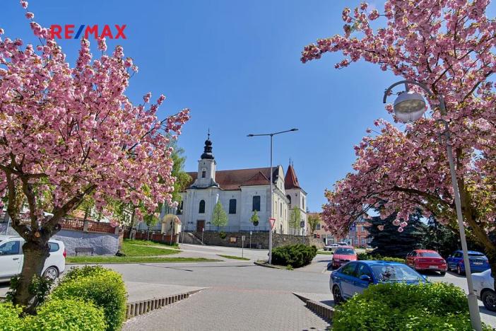 Prodej pozemku pro bydlení, Řemíčov, 699 m2