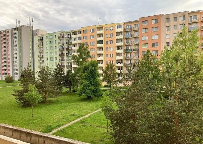 Pronájem bytu 2+1, České Budějovice, M. Horákové, 50 m2
