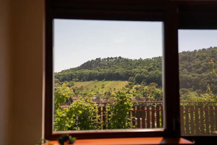 Prodej rodinného domu, Mikulov, Vinohrady, 120 m2