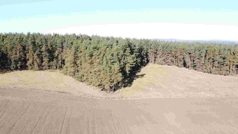 Prodej pozemku, Tisová - Kumpolec, 4563 m2