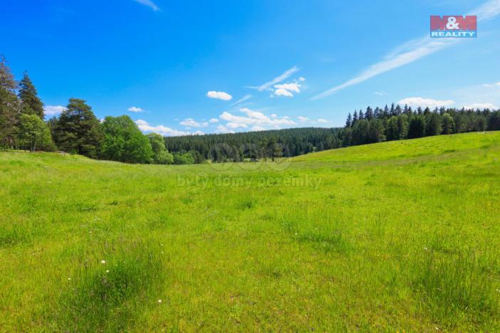 Prodej rodinného domu, Srní, 92 m2