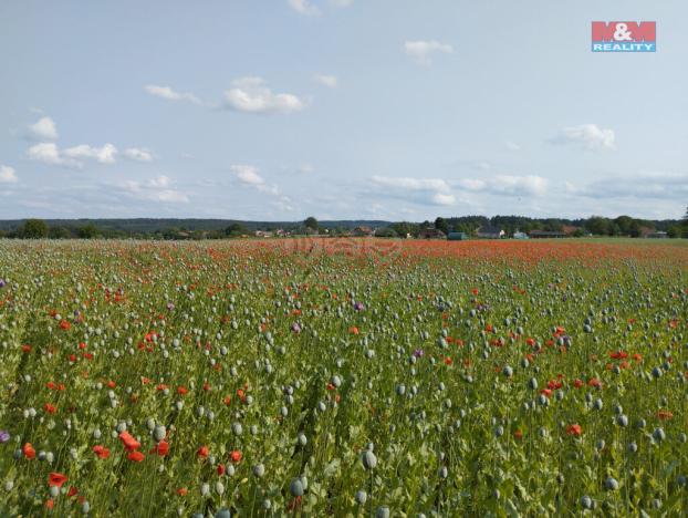 Pronájem chaty, Heřmanův Městec, Na Ježkovce, 387 m2