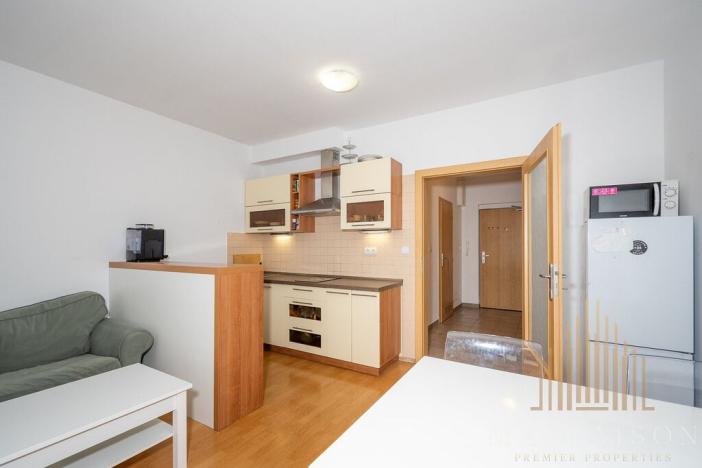 Pronájem bytu 1+kk, Praha - Krč, Panuškova, 44 m2