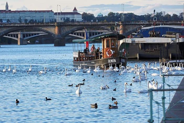 Prodej bytu 2+kk, Praha - Nusle, Bělehradská, 45 m2