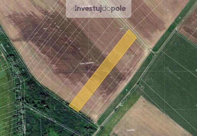 Prodej pole, Počenice-Tetětice - Počenice, 3619 m2