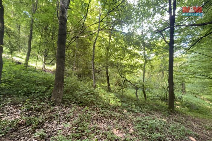 Prodej zahrady, Šarovy, 2923 m2