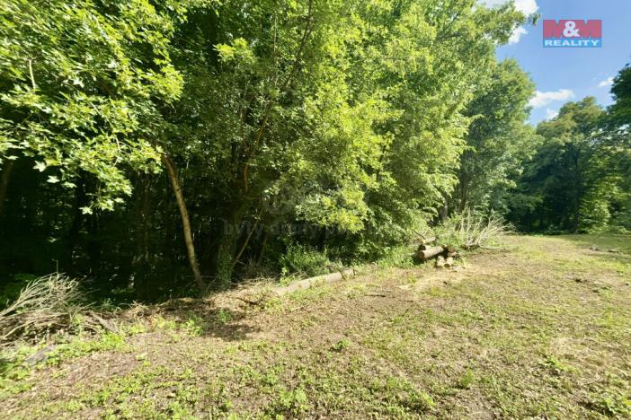 Prodej zahrady, Šarovy, 2923 m2