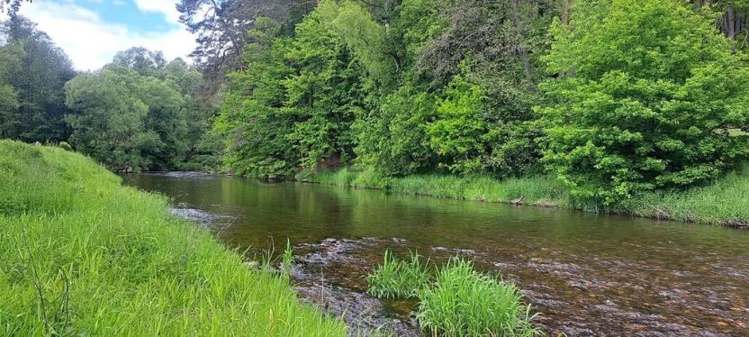 Prodej chaty, Kaplice, 80 m2