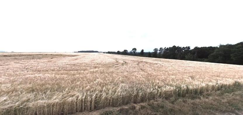 Prodej podílu pole, Kokořín, 1083 m2