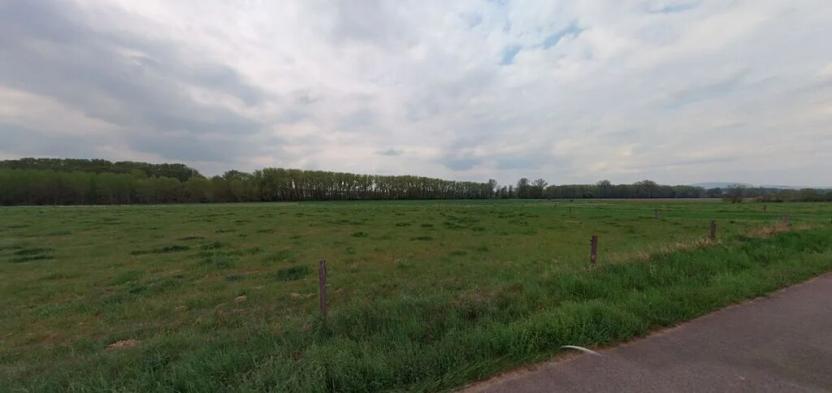 Prodej podílu pole, Chodouny, 4477 m2