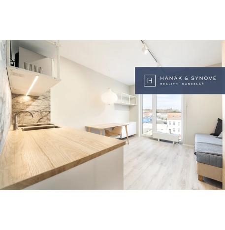 Pronájem bytu 1+kk, Brno, Chaloupkova, 22 m2