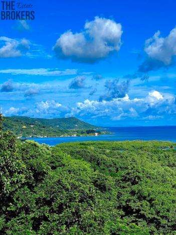 Prodej pozemku, Coxen Hole, Roatán, Honduras, 1000 m2