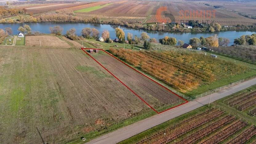 Prodej sadu/vinice, Velké Bílovice, U Rybníka, 2791 m2