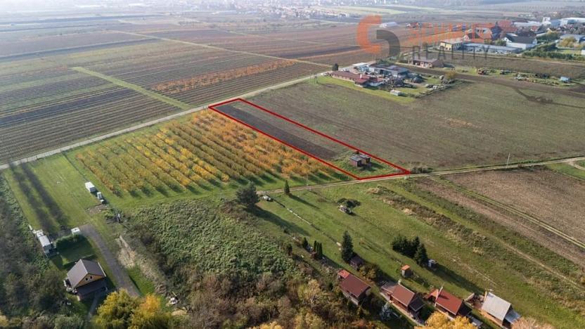 Prodej sadu/vinice, Velké Bílovice, U Rybníka, 2791 m2