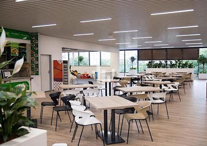 Pronájem kanceláře, Ostrava, Masarykovo náměstí, 237 m2