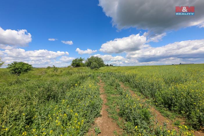 Prodej pole, Dobrovíz, 5578 m2