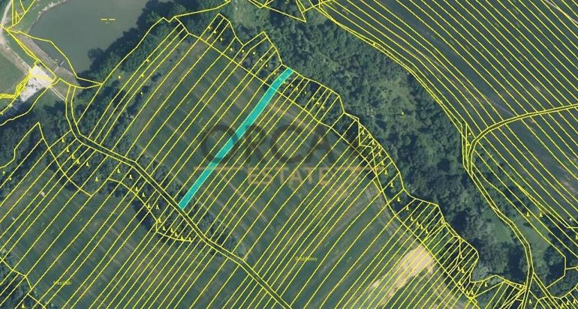 Prodej pole, Mistřice, 6356 m2