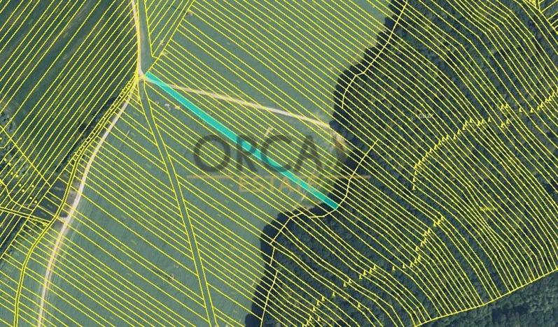 Prodej pole, Mistřice, 6356 m2