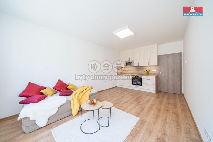 Pronájem bytu 1+kk, Olomouc, Frištenského, 34 m2
