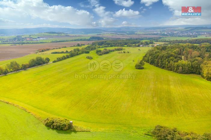 Prodej louky, Spálené Poříčí - Struhaře, 14061 m2