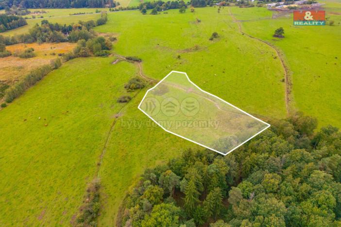 Prodej louky, Spálené Poříčí - Struhaře, 5715 m2