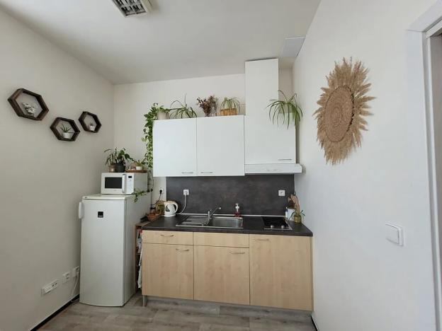 Pronájem bytu 1+kk, Brno, Vídeňská, 23 m2