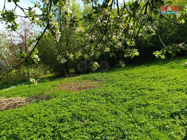 Prodej zahrady, Rychnov nad Kněžnou, 2141 m2