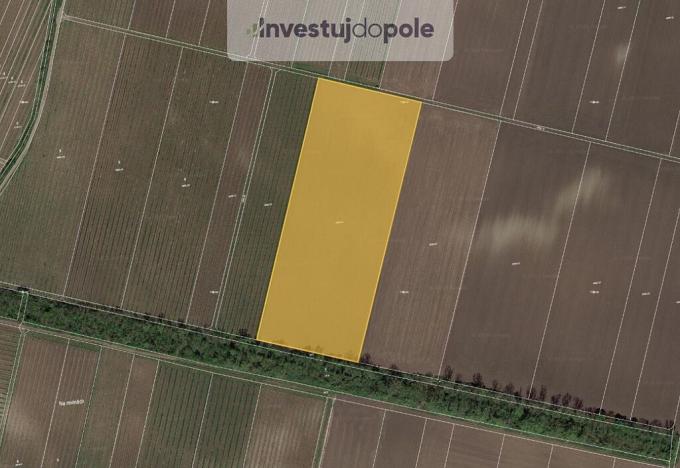 Prodej pole, Novosedly, 31401 m2