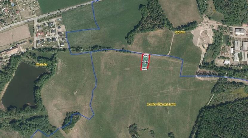 Prodej louky, Morašice, 2206 m2