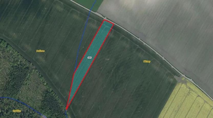 Prodej pole, Běchary, 12202 m2