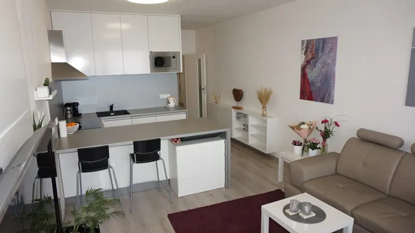 Pronájem bytu 1+kk, Brno, Řípská, 40 m2