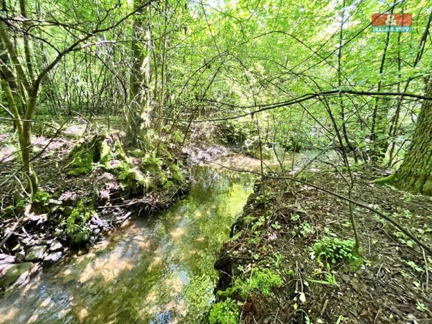 Prodej rybníku, Skalice u České Lípy, 3255 m2