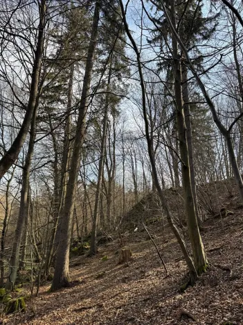Prodej pozemku, Louňovice pod Blaníkem, 23891 m2