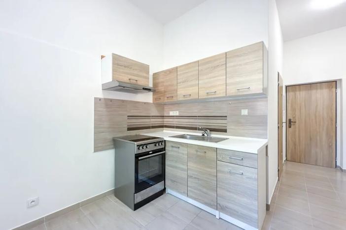 Pronájem bytu 1+1, Mikulášovice, 48 m2